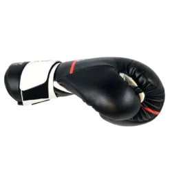 Rival Boxing Gear Rival RS2V Super Sparring Gloves 2.0