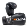 Rival Boxing Gear Rival RS60V Workout Sparring Gloves 2.0