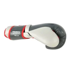 Rival Boxing Gear Rival RS80V Impulse Sparring Gloves